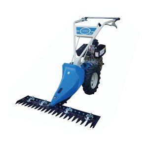 ARS-602 Two-Wheel mover